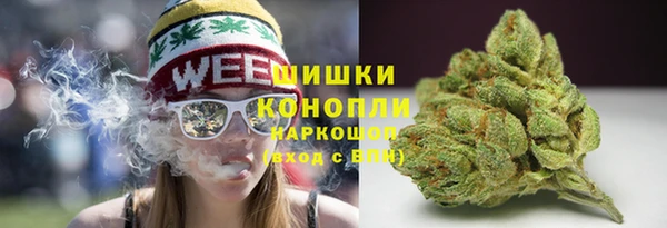 стаф Киренск