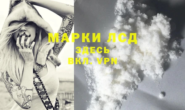 стаф Киренск