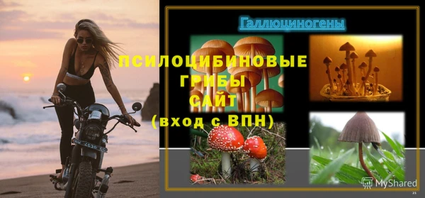 стаф Киренск