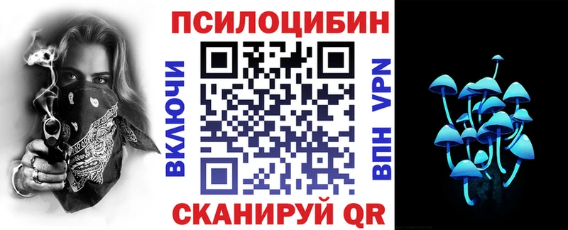 Купить закладки  Воркута  Псилоцибиновые грибы ЛСД 